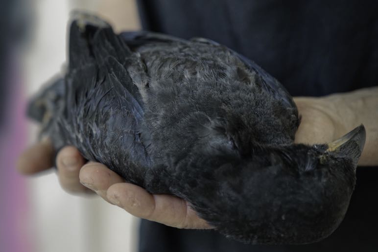 UNADJUSTEDNONRAW_thumb_2e196