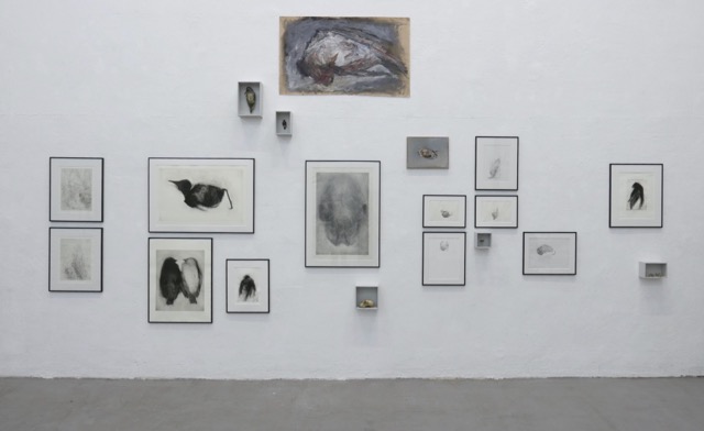 Ausstellungsansicht Peripherie