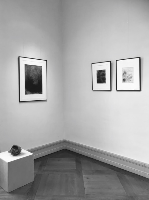 Ausstellungsansicht Villa Eugenia